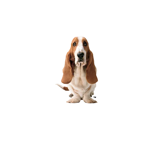 Hush Puppies